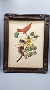 Vintage AUDUBON Summer Tanger Flycatcher Lithograph 1950’s Vtg Wooden Frame - Picture 1 of 6