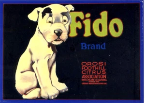 Fido•Lemon Crate Label POSTCARD - Picture 1 of 1