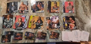 MASTER SET - 1999 WCW Crazy Planet Wrestling HOGAN, Flair, Hart (with tattoos) - Picture 1 of 7