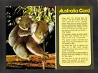 C0162 Australia Animals Koala &amp; Joey Bartel Australia Card postcard
