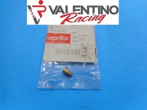 GETTO MASSIMO 207 CARBURATORE ORIGINAL APRILIA RS 250 DAL 1995 AL 2003 AP8600147 - Imagen 1 de 1