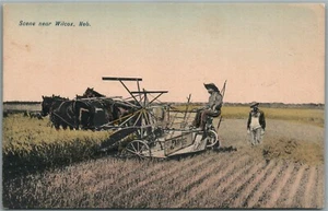 SZENE IN DER NÄHE VON WILCOX NE ANTIKE POSTKARTE  - Bild 1 von 2