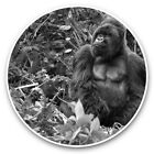 2 x Vinyl Stickers 7.5cm (bw) - Silverback Mountain Gorilla  #38827