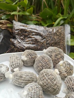 58 std carp baits balls easi to use come in  Bags + get 20 boilie hook baits - Image 1 of 4