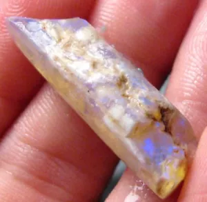 O&co Fossile pipe belemnite Coober Pedy australie collection cadeau noël 15ct - Imagen 1 de 7