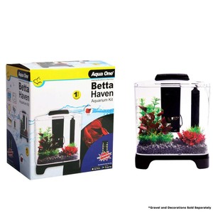 aquaholics live fish