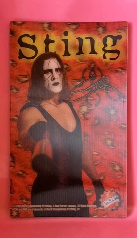 WCW VINTAGE Sting Lentecular Holographic Magnet Brand New WWE TNA IMPACT NWO NWA Cover