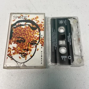 Rotting Pinata by Sponge (Aug-1994, Work Group) - Bild 1 von 2