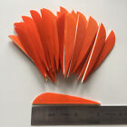 50 pièces 3 pouces plumes paraboliques orange fletches fletching RW LW