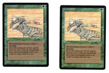 Magic the Gathering Sandstorm Arabian Nights NM