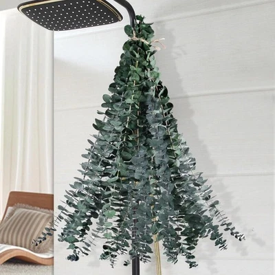 12件装干桉树用于淋浴悬挂-17英寸真实大号保存绿色  — 第 1/4 张图片