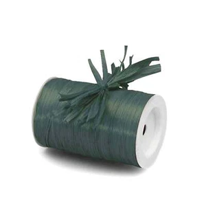Green Raffia | Hunter Green Raffia Ribbon - Matte - 1/4in. x 100 Yds (pm4434862) - Picture 1 of 1