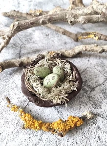Miniature Bird Nest, Rustic Clay Trinket Dish, Easter Decor, Clay Eggs Bark Bowl - Picture 1 of 9