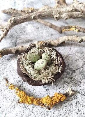 Miniature Bird Nest, Rustic Clay Trinket Dish, Easter Decor, Clay Eggs Bark Bowl - Image 1 of 4