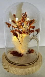 Glass Cloche Bell Jar Display Brown Wood Base, Lights Dried Flowers Feathers Vtg - Picture 1 of 5