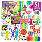 (51 Pcs) Fidget Toys Pack, Popits Fidgets Set for Classroom Prizes and Party 