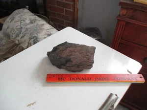 Petrified Wood, shows bark 3.4 lbs. - Picture 1 of 6