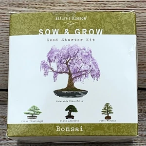 Natures Blossom Semina e Coltiva Bonsai Semi Starter Kit Jacaranda Pinus Picea - Foto 1 di 4