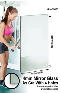 Gym Mirror Glass Weight Exercise Training With 4 Holes 6ftx3ft 183cmx91cm 4mm - Picture 1 of 1