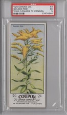 1920 Cowan Co. V20 Wild Flowers of Canada #2 Golden Rod Graded PSA 5