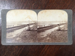 Tarjeta fotográfica Stereoview, campos de sal de Solinen Rusia, 1898 Underwood - Imagen 1 de 4