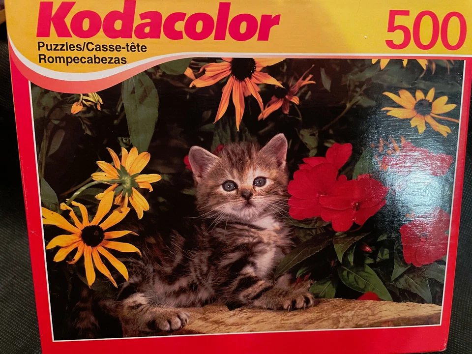 Kodacolor Roseart 1000 piece puzzle “sunrise launch” #21001