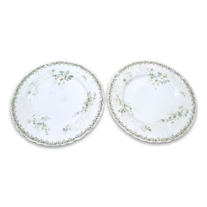 Set of 2 Antique Haviland Limoges Dinner Plates Green Floral Embossed - Picture 1 of 12