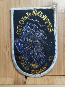 Cloth Badge / Patch π Souvenir COOLANGATTA Gold Coast π FREE POST - Picture 1 of 1