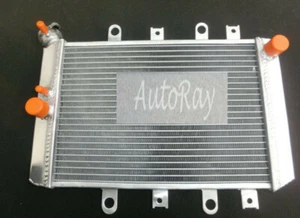 Aluminum Radiator for YAMAHA ATV QUAD GRIZZLY YFM700/550 2007-2013 08 09 2010 - Picture 1 of 6