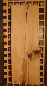 746 Eichenbrett Waschtischplatte Dekobrett Regalbrett Massiv 36mmx41-47cmx 120cm - Bild 1 von 3