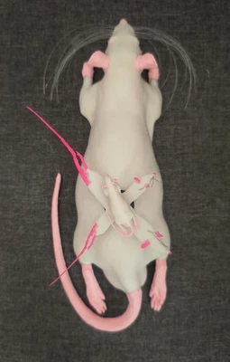 The Original Rat Clock - Image 1 of 4