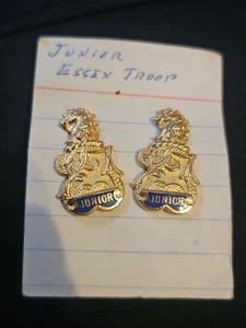 Pair Of Vintage Junior Horse Pins Junior Essex Troop? - Picture 1 of 1