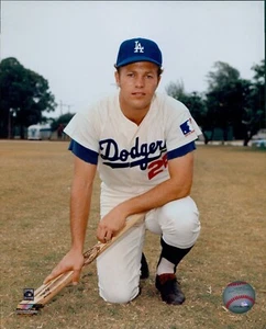 Foto brillante de Wes Parker de los Dodgers de Los Ángeles sin firmar con licencia 8x10 MLB A - Imagen 1 de 1