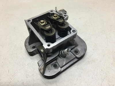 105-C1198 BRIGGS AND STRATTON CABEÇA DE CILINDRO DO MOTOR - Imagem 1 de 4