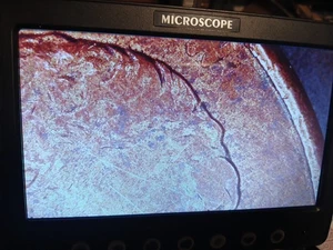 1992 D mint Cent With A Clear Strike Through Error On Both Sides Maybe DDR Too - Picture 1 of 24