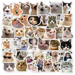 50 piezas pegatinas divertidas de memes de gatos pegatinas de vinilo para computadora portátil botellas de agua adultos niños - Imagen 1 de 5