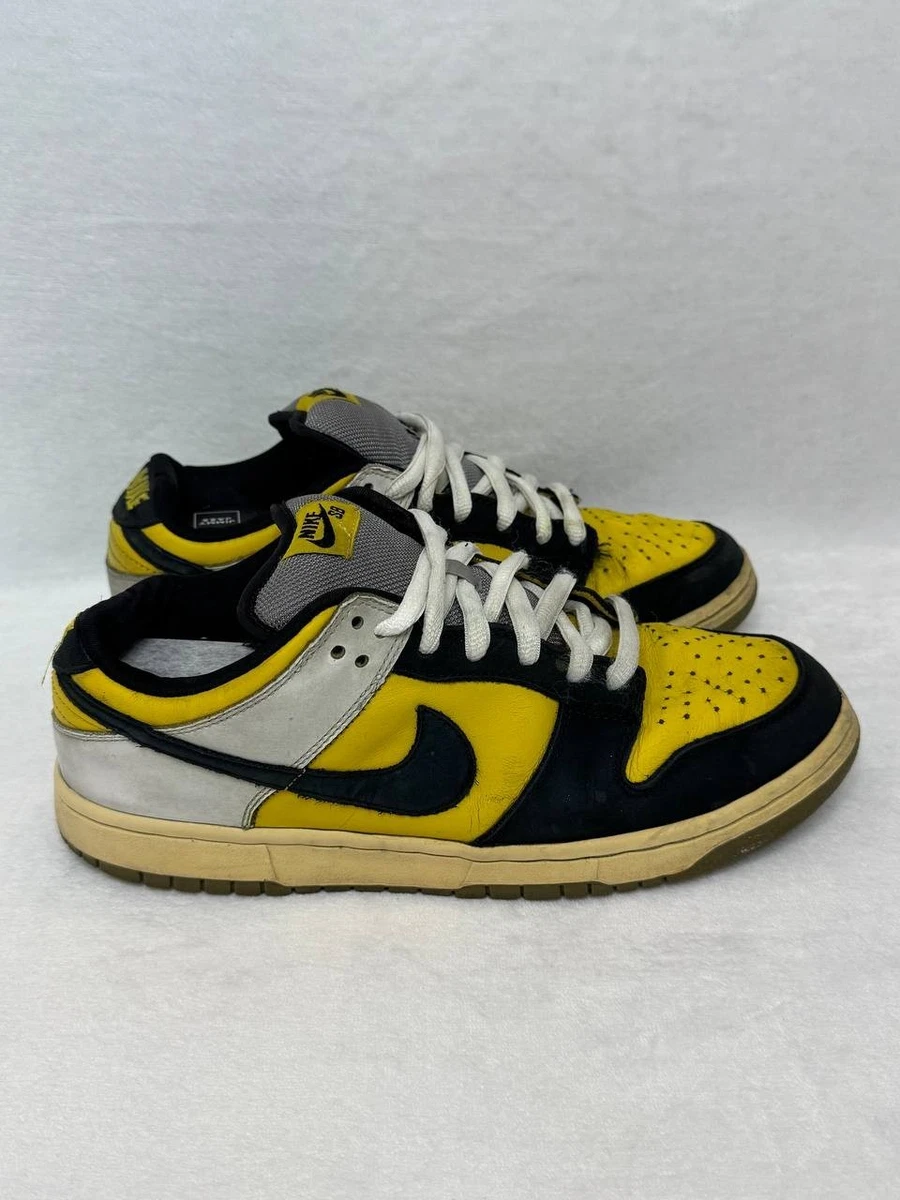 Nike Dunk Pro SB Low Bic | eBay