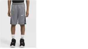 Nike Children Youth Boys Printed Basketball Shorts Size Large gray purple black - Picture 1 of 5