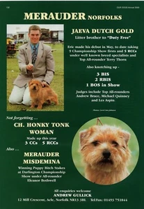 NORFOLK TERRIER PERRO RAZA PERRERA ANUNCIO IMPRESIÓN PÁGINA 2000 PERRERA MERAUDER - Imagen 1 de 1