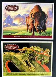 CELESTIAL SEASONINGS Postkarten-Morgendonner & authentisch grün - 10 Gesamtkarten - Bild 1 von 2