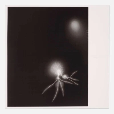 Hiroshi Sugimoto Lightning Fields 石版画海报 2008 年 ED300 — 第 1/2 张图片