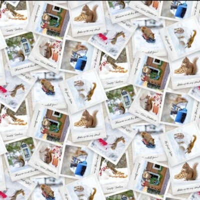 Secret Life Of Squirrels 2•Squirrel Photos Fabric 100% Cotton 1 yd*BTY•FastShip - Image 1 of 2