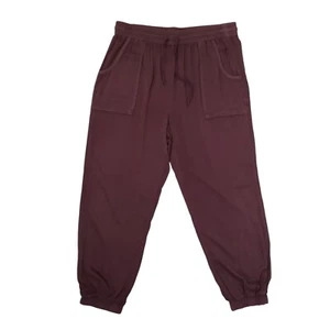 American Eagle Womens L Jogger Pants Drawstring Stretch Waist Pockets Dusty Plum - Picture 1 of 12