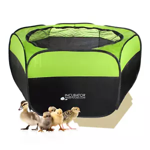 Incubadora Almacén Insta Brooder™ Pluma incubadora cerrada para crías - Imagen 1 de 10