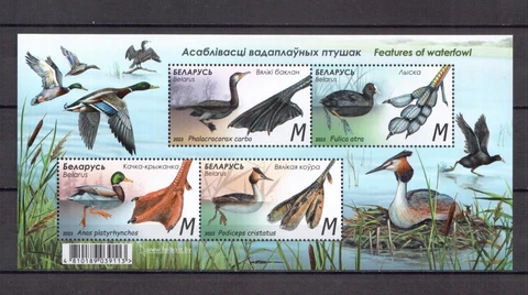 Belarus 2023 Mi BY 1495-8 - Water birds, ducks,animals, wildlife - 1 s/s MNH** Cover