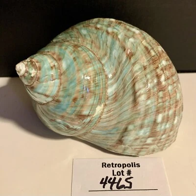 Carcasa Turbo Jade Verde Pulido 4" Foto 1 de 4