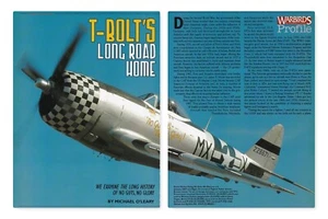 Republic P-47 Thunderbolt Aircraft Report 10/11/2023h - Picture 1 of 2