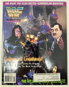 1995 NOVEMBER WWF MAGAZINE UNDERTAKER VERY NICE - Picture 1 of 1