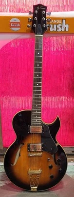 Guitarra Jay Turser Caja Jazz Eléctrica Cuerpo Semi-Hueco con Estuche Foto 1 de 4