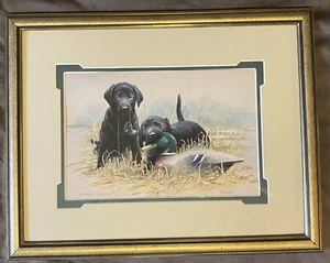 Impresión enmarcada James Killen "Double Trouble" 14"x11" con marco - Imagen 1 de 8